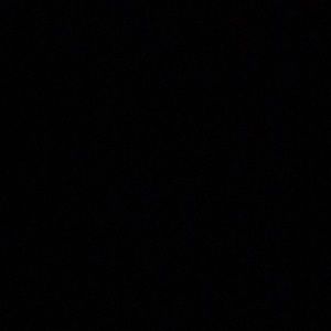 Meet your Posher, Lila